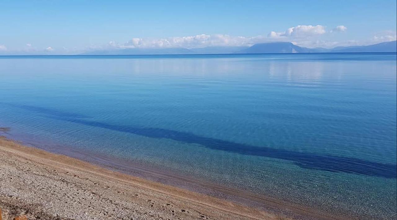 Castella Beach Hotel Alissos Eksteriør billede